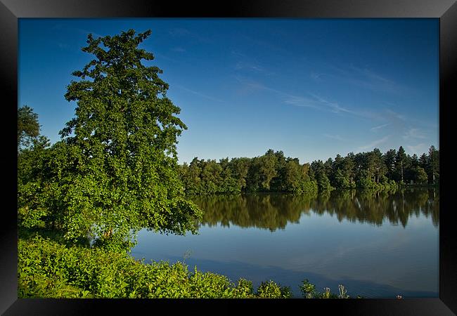 Woodland Reflections Framed Print by Chris Andrew