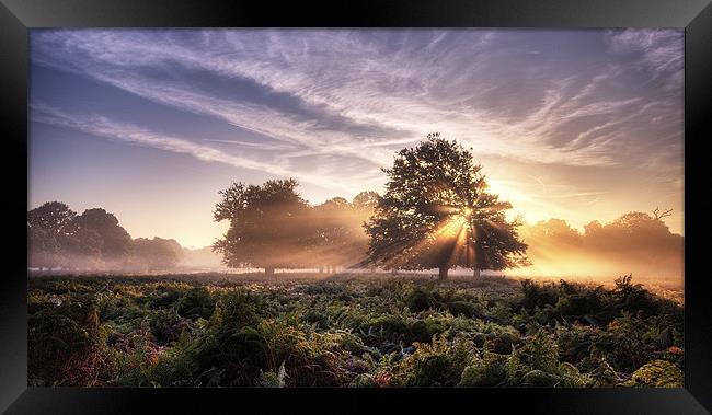 Sunrays Framed Print by Dave Wragg