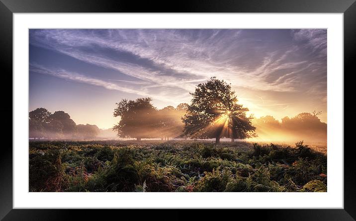 Sunrays Framed Mounted Print by Dave Wragg