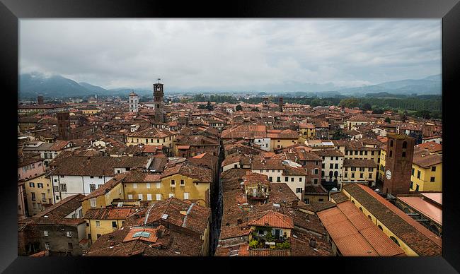  Lucca Framed Print by Dave Wragg