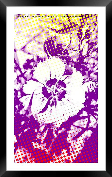 Pop art flower Framed Mounted Print by Carrie-Anne Young