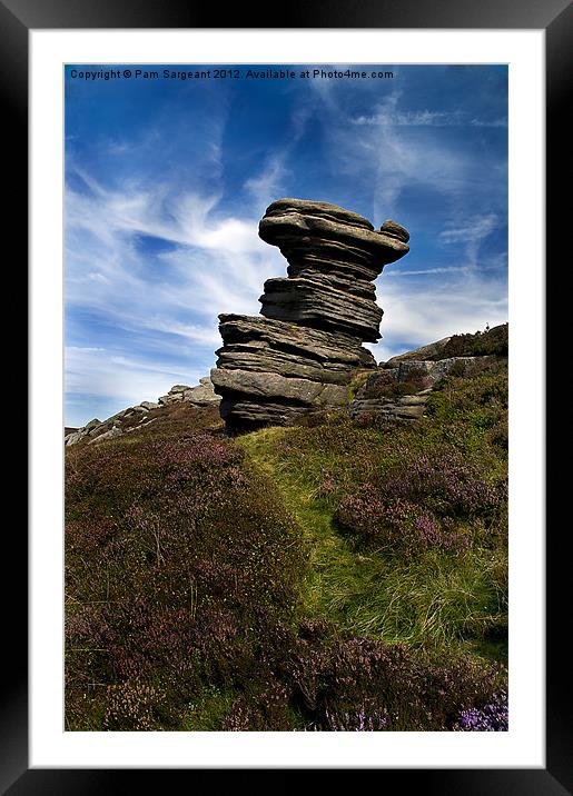 Salt Cellar, Derwent Edge Framed Mounted Print by Pam Sargeant