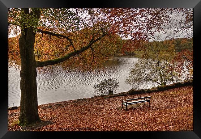 Knypersley Autumn View Framed Print by Pam Sargeant