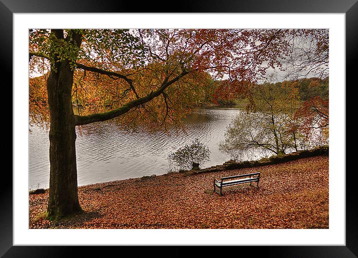 Knypersley Autumn View Framed Mounted Print by Pam Sargeant