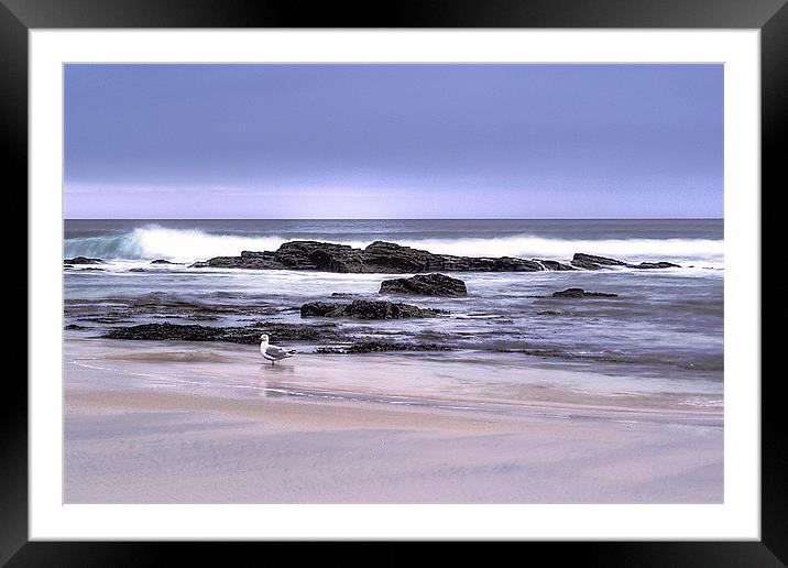 Cornish Beach 2 Framed Mounted Print by Pam Sargeant