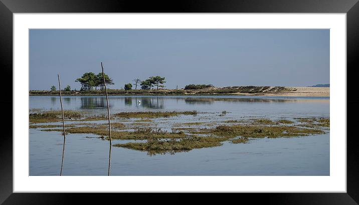  Le Cap Ferret Penisula on Bassin d'Arcachon Framed Mounted Print by Michelle PREVOT