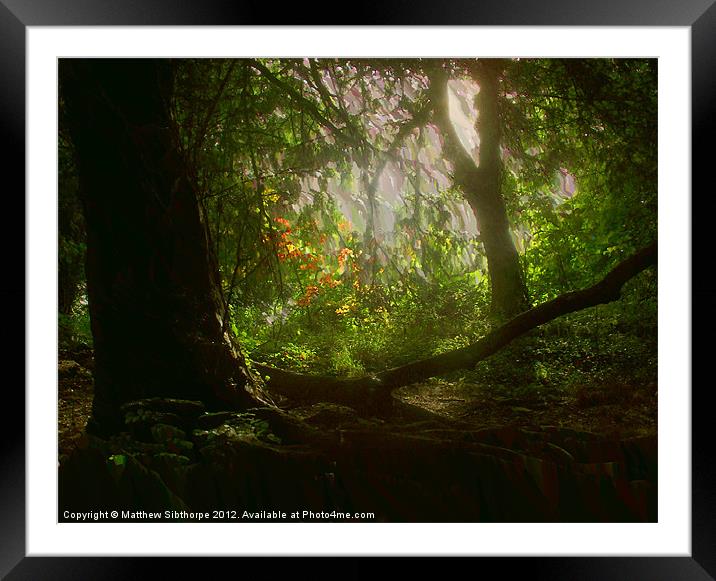 Blaise Woods Framed Mounted Print by Bristol Canvas by Matt Sibtho