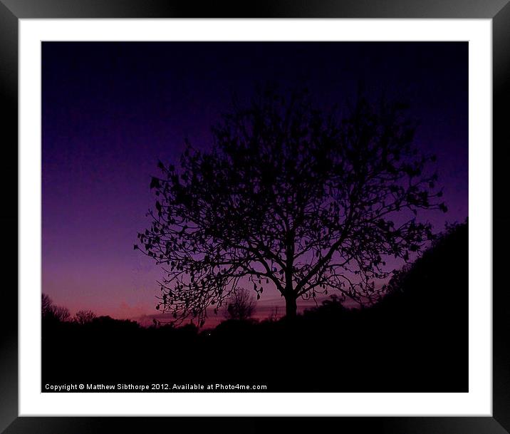 Lilac Tree Framed Mounted Print by Bristol Canvas by Matt Sibtho