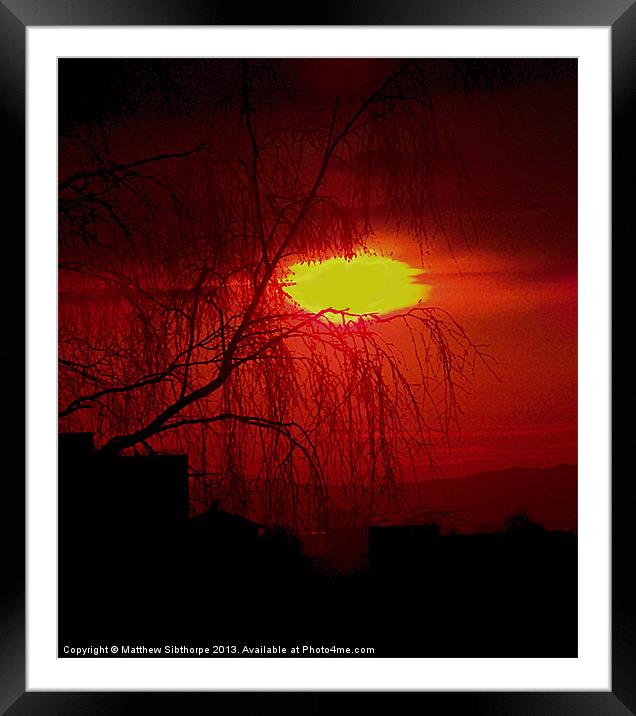 Red Willow Framed Mounted Print by Bristol Canvas by Matt Sibtho