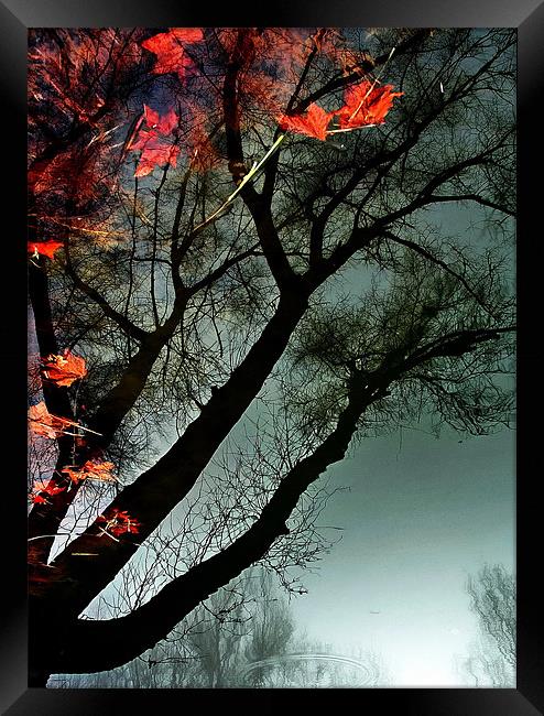 Fire water Framed Print by Gabor Dvornik