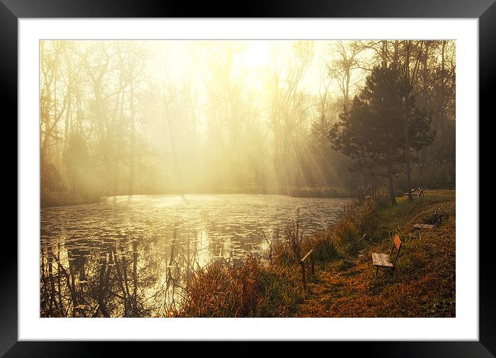 Shinig Framed Mounted Print by Gabor Dvornik