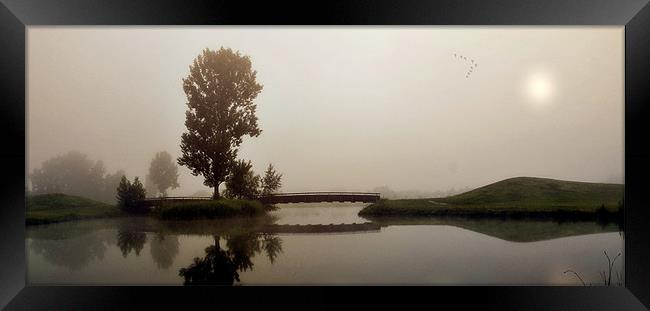 Last minute Framed Print by Gabor Dvornik