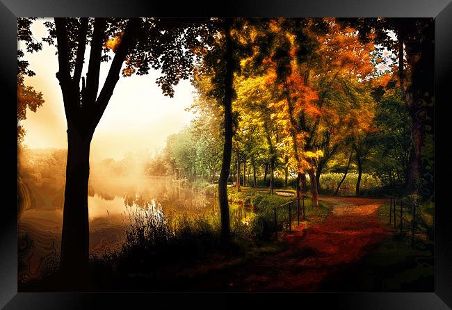 Drug of colors Framed Print by Gabor Dvornik