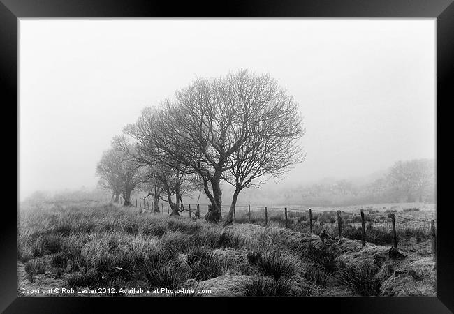 Season of mists (mono) Framed Print by Rob Lester