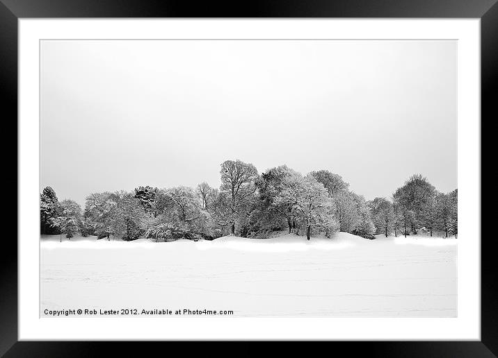 Winter in the park Framed Mounted Print by Rob Lester