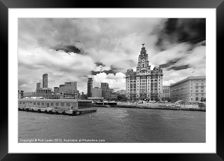 The Royal Liver Building,Liverpool Framed Mounted Print by Rob Lester