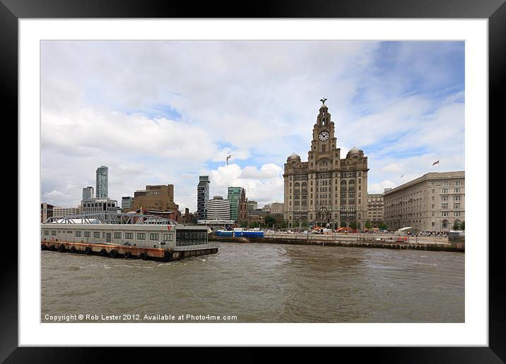 The Royal Liver buildings, Liverpool. Framed Mounted Print by Rob Lester