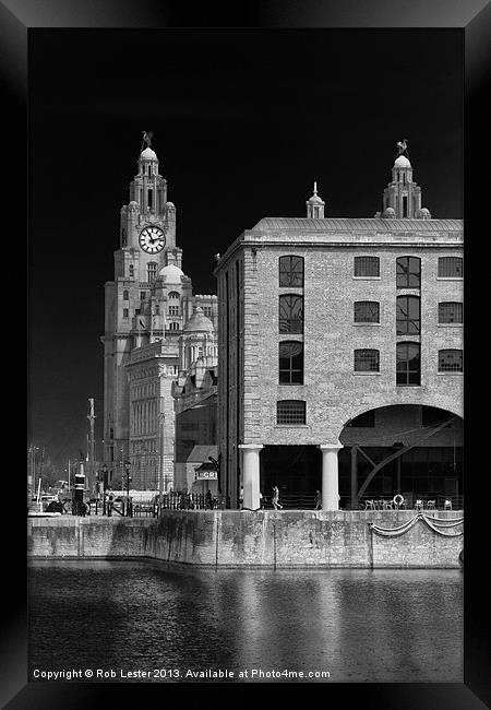 Albert dock and Liver building Framed Print by Rob Lester
