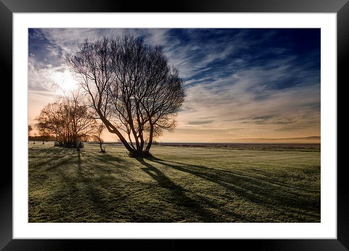  The Tree on the Dee Framed Mounted Print by Rob Lester