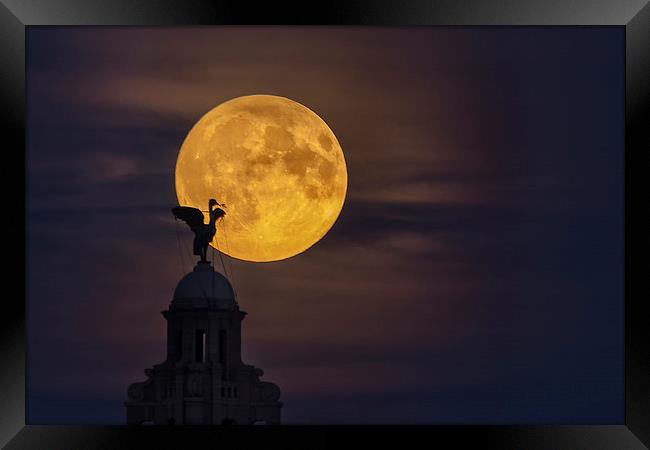  Liverpool super moon Framed Print by Rob Lester