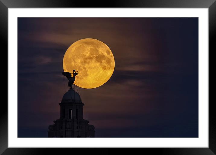  Liverpool super moon Framed Mounted Print by Rob Lester