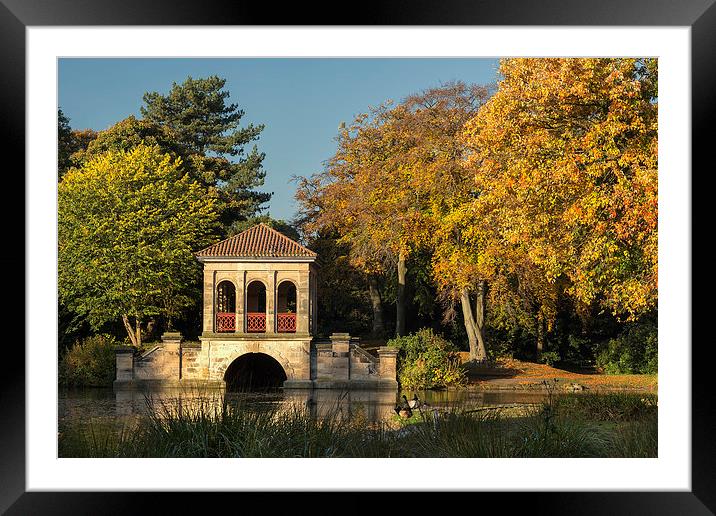  Autumn in Birkenhead Park Framed Mounted Print by Rob Lester
