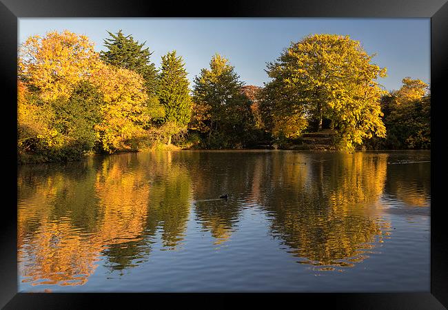  Autumn Reflections Framed Print by Rob Lester