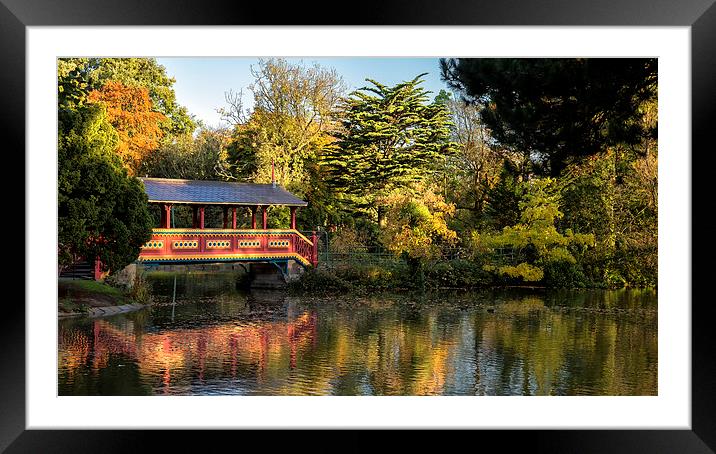  `Swiss Bridge` in Autumn Framed Mounted Print by Rob Lester