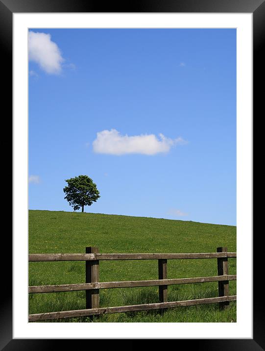 Lone tree at top of a small hill on a sunny day Framed Mounted Print by Mick Flynn