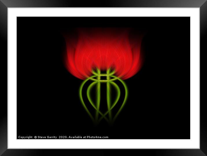 Twisted Rose Framed Mounted Print by Steve Garrity