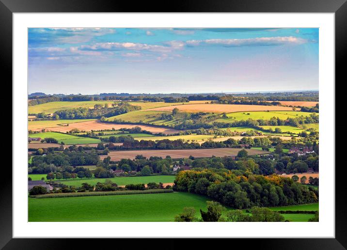 South Downs Beacon Hill Hampshire England Framed Mounted Print by Andy Evans Photos