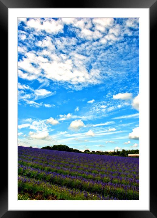 A Dreamy Summer in English Countryside Framed Mounted Print by Andy Evans Photos