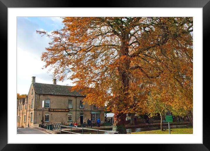 Autumn Trees Bourton on the Water Cotswolds Framed Mounted Print by Andy Evans Photos