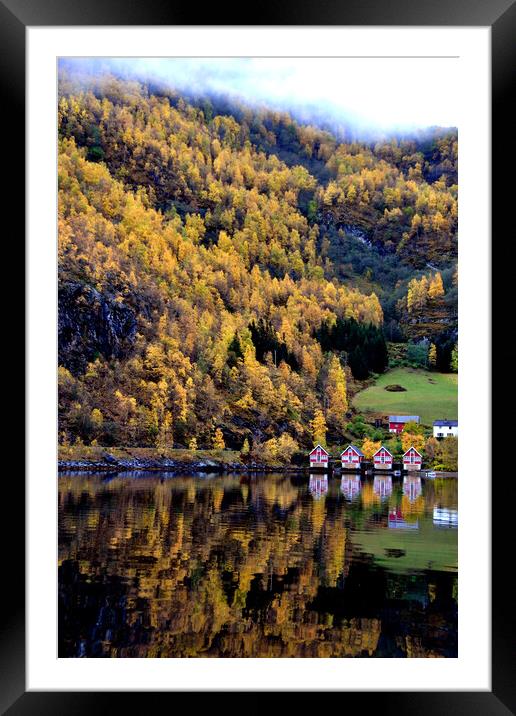 Autumn Trees Flam Aurlandsfjord Norway Framed Mounted Print by Andy Evans Photos