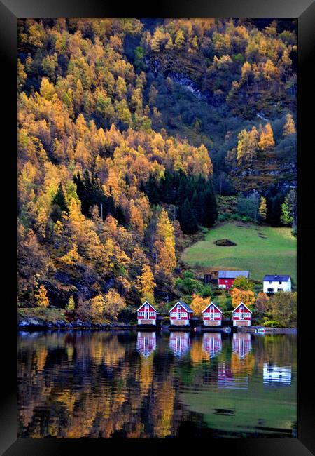 Autumn Trees Flam Aurlandsfjord Norway Framed Print by Andy Evans Photos