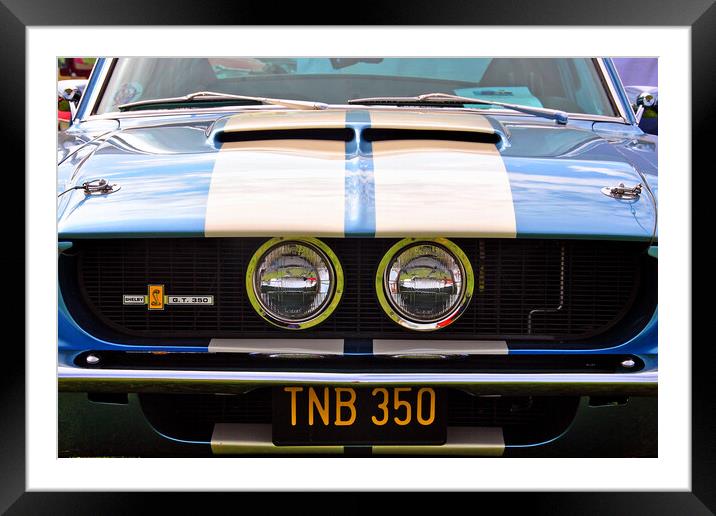 Ford Mustang Shelby GT 350 Framed Mounted Print by Andy Evans Photos