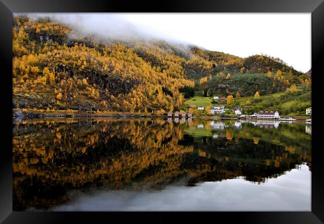 Autumn Trees Flam Aurlandsfjord Norway Framed Print by Andy Evans Photos