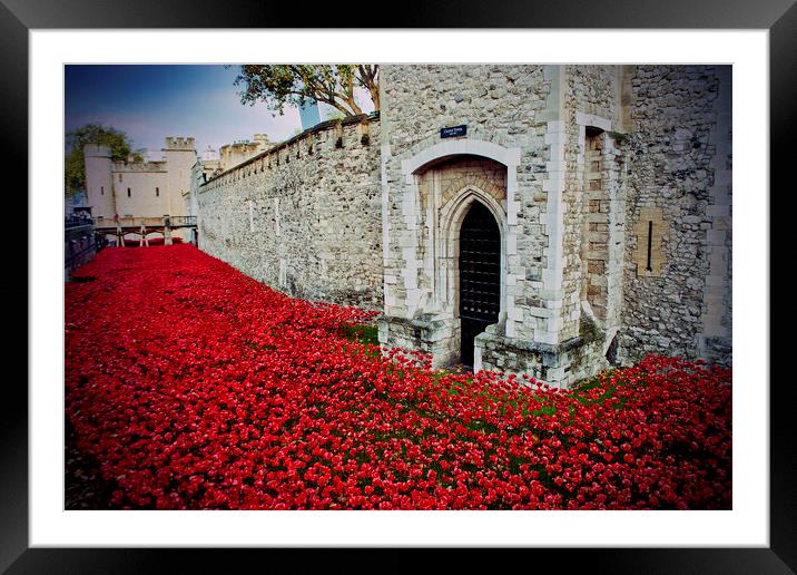 Tower of London Red Poppies England UK Framed Mounted Print by Andy Evans Photos