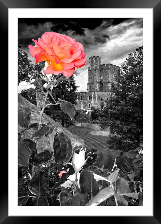 Windsor Castle Berkshire England UK Framed Mounted Print by Andy Evans Photos