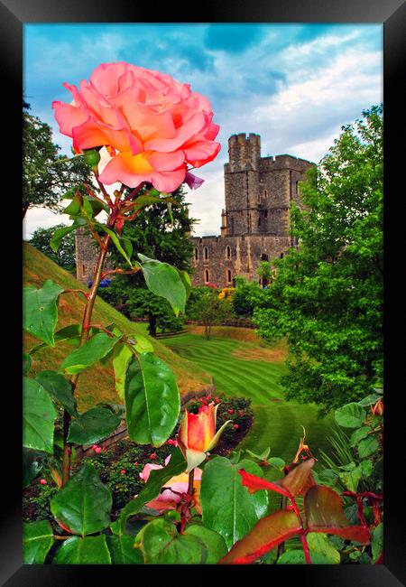 Windsor Castle Berkshire England UK Framed Print by Andy Evans Photos