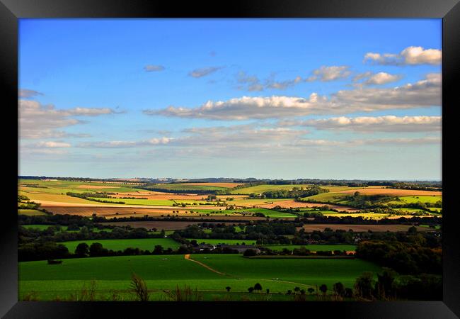 South Downs Beacon Hill Hampshire England Framed Print by Andy Evans Photos