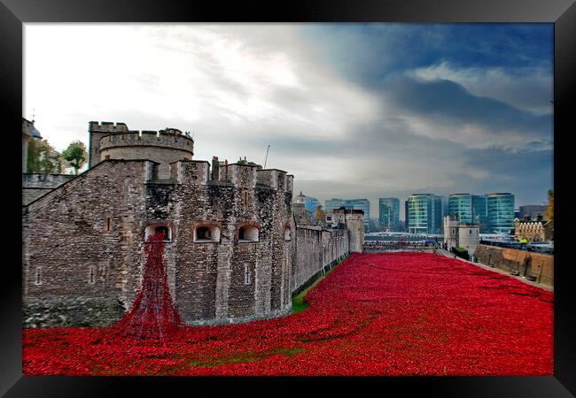 Tower Of London Poppies Red Poppy Framed Print by Andy Evans Photos