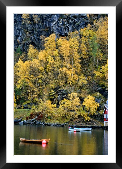 Flam Aurlandsfjord Norwegian Fjord Norway Framed Mounted Print by Andy Evans Photos