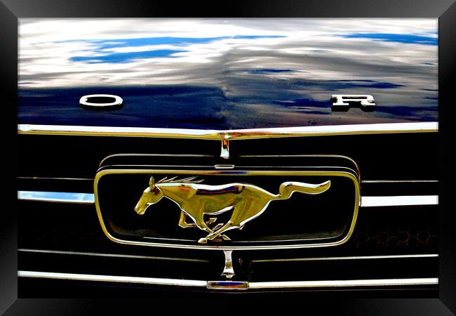 Unleash the Power of Mustang Framed Print by Andy Evans Photos