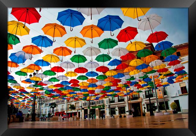 "Vibrant Umbrella Canopy in Torrox" Framed Print by Andy Evans Photos