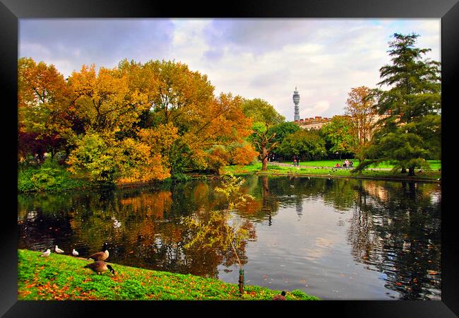 Autumnal Splendour in Regents Park Framed Print by Andy Evans Photos