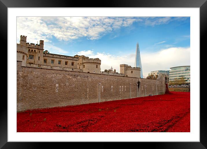Blood-Red Poppies: Tower of London's Tribute Framed Mounted Print by Andy Evans Photos