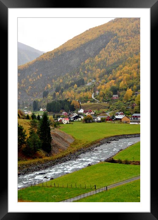 Flamsdalen Valley Flam Norway Scandinavia Framed Mounted Print by Andy Evans Photos