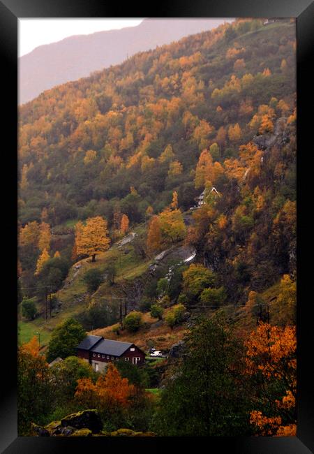 Autumn Trees Flamsdalen Valley Flam Norway Scandinavia Framed Print by Andy Evans Photos