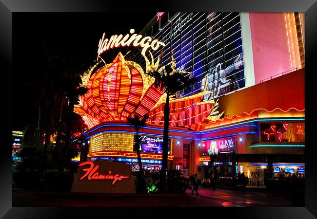 Flamingo Las Vegas Hotel Neon Lights America Framed Print by Andy Evans Photos